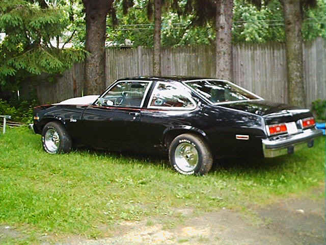 photo64.jpg (103594 bytes)