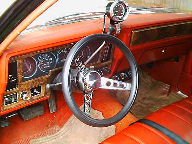 photo67.jpg (102749 bytes)